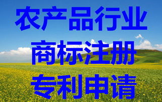 知识产权保护全攻略 从商标查询到版权代理的完整指南